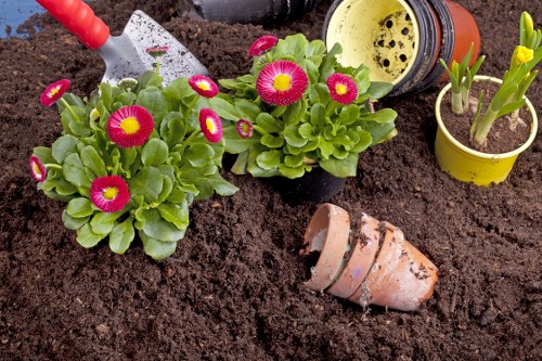 Gardener inspecting a residential garden with safety gear