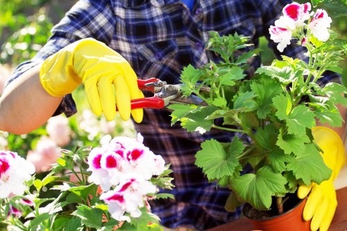 Tips for secure payments at Gardening Kensington