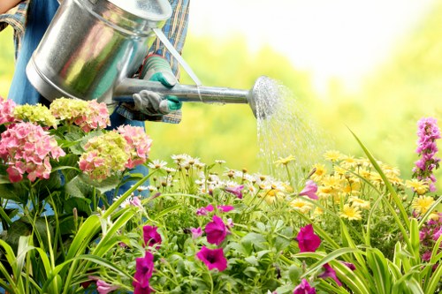 Selection of native plants suitable for Kensington landscaping