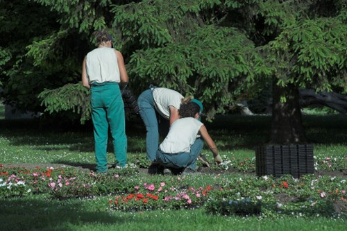 Landscaping team assessing a compact urban garden in Kensington