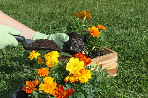 Seasonal plant selection in a Kensington landscape garden